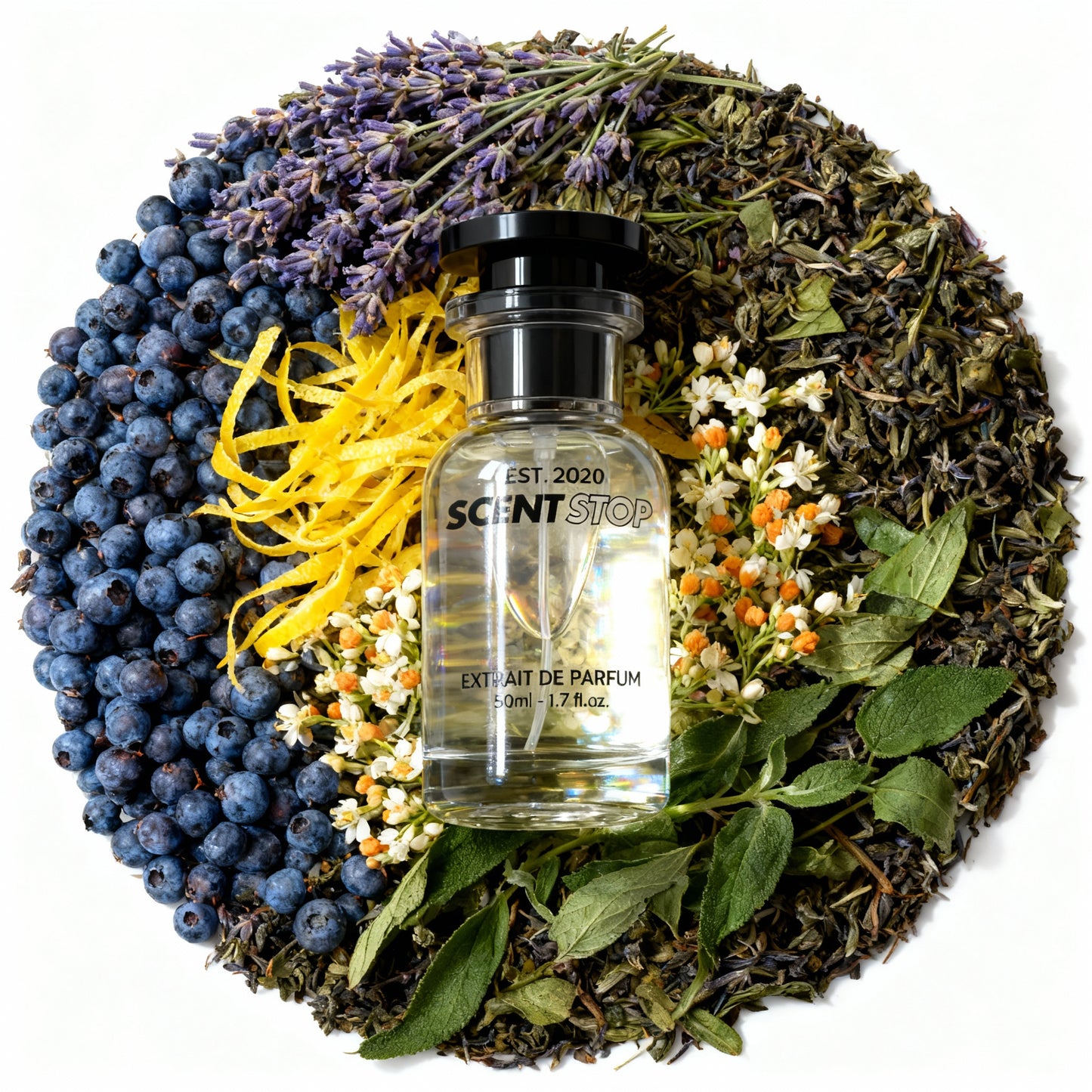 Insp. By Guilty - F026